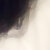 Profile pic